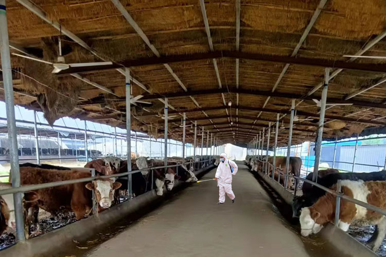 畜牧業(yè)養(yǎng)殖次氯酸發(fā)生器