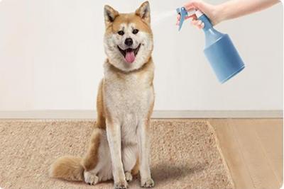 次氯酸針對寵物消毒