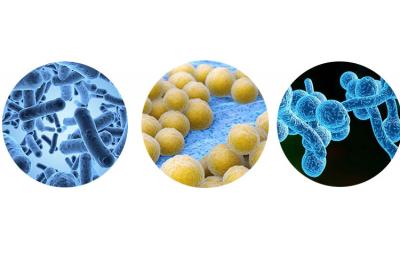 次氯酸發(fā)生器