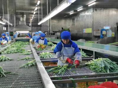 次氯酸消毒液發生器