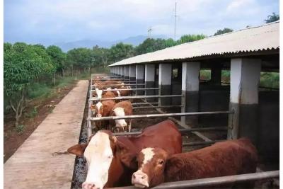 次氯酸消毒液發(fā)生器