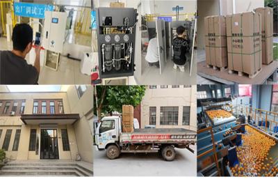 比利時發貨場景