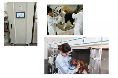 泰國客戶購買次氯酸發(fā)生器SHC300用于寵物養(yǎng)殖