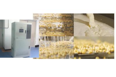 次氯酸發(fā)生器在豆制品上的應用