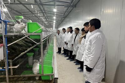 適用于寵物主人、農(nóng)場和動物飼養(yǎng)者的次氯酸發(fā)生器。