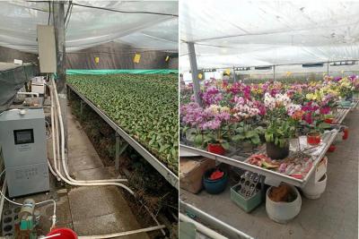 次氯酸發(fā)生器在農(nóng)業(yè)種植上的應(yīng)用