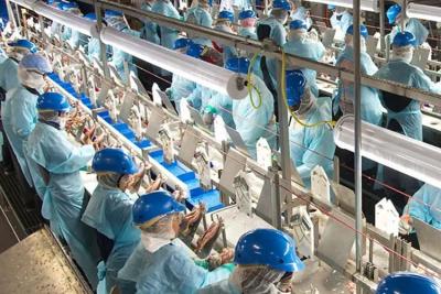 次氯酸發(fā)生器在食品行業(yè)的應(yīng)用有哪些？