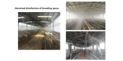 DCW次氯酸發生器,次氯酸發生器方心,次氯酸發生器廠家