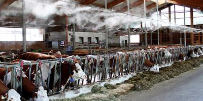 次氯酸發生器配套霧化系統，實現全自動消毒