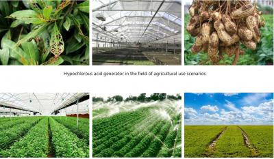 次氯酸可有效祛除農(nóng)殘