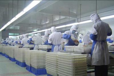 次氯酸——食品安全領域的應用