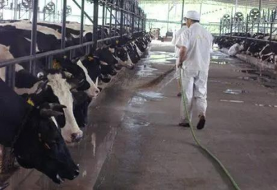 次氯酸用于畜牧養殖除臭