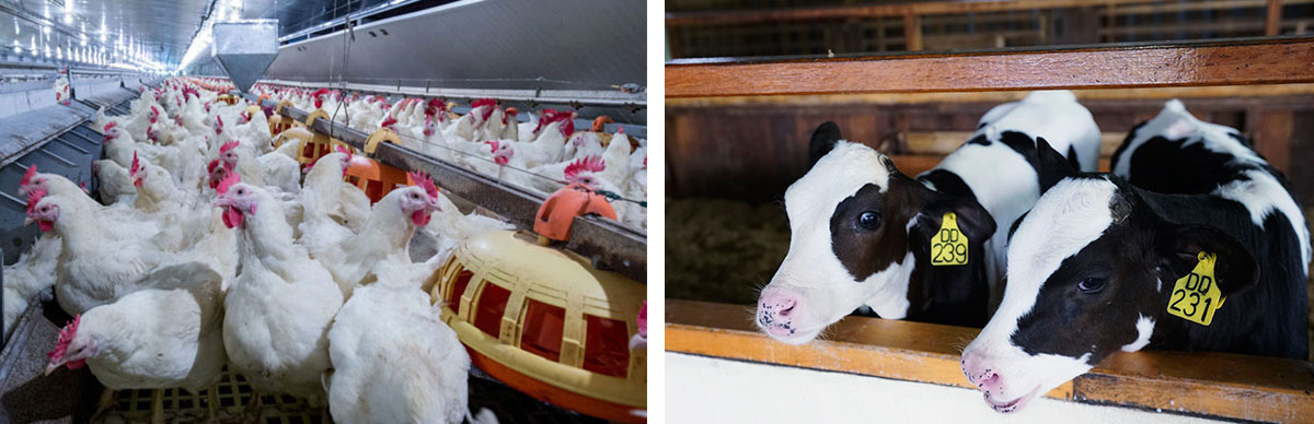 次氯酸水消毒設備 次氯酸水消毒設備