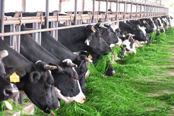 微酸性次氯酸水 微酸性次氯酸水