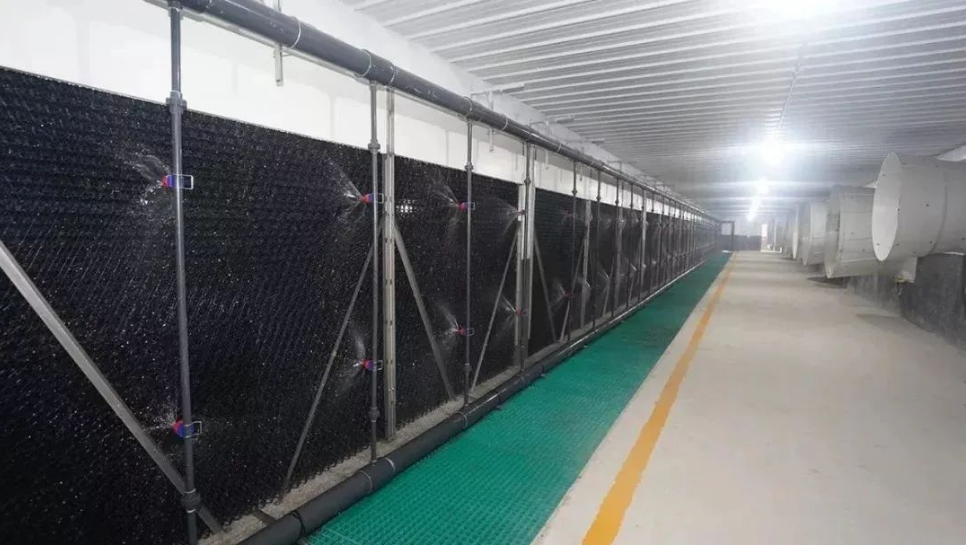 1651809405695250.png 6a1de9ec7388567a7553aa2ec2286d1.png