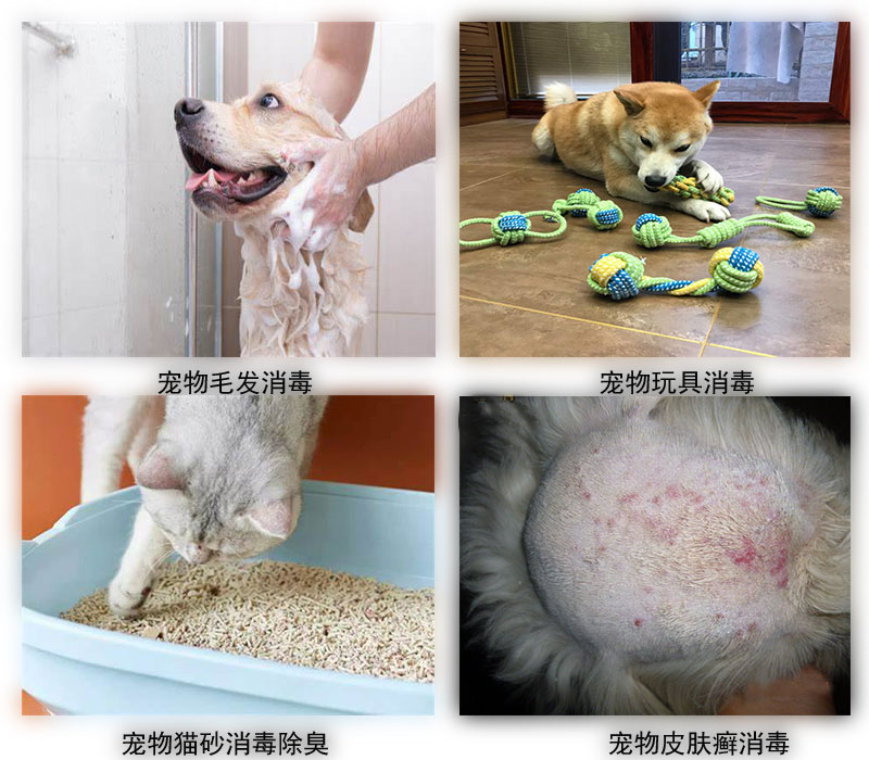 次氯酸發生器應用場景 次氯酸發生器應用場景