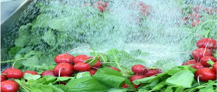 1655796478375341.png 06f7af0c558a58b2861fd9dcabe1aa8.png