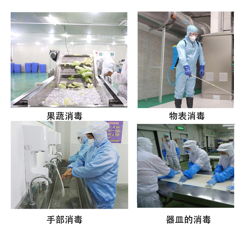 食品加工次氯酸發(fā)生器