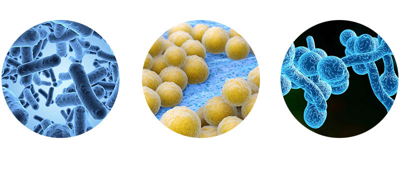 次氯酸滅菌圖片 次氯酸滅菌圖片