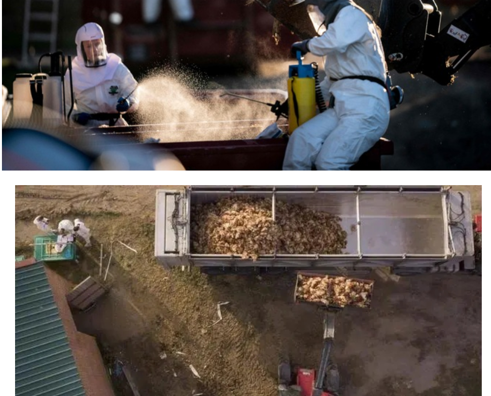 1665021100969048.png 6a699763d75b0c915153e51e098123a.png