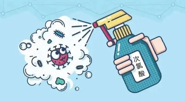 1667350983185801.jpg 55.webp.jpg