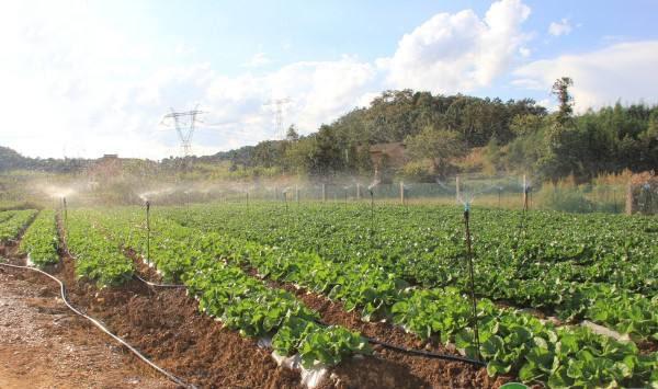 次氯酸農(nóng)業(yè)種植