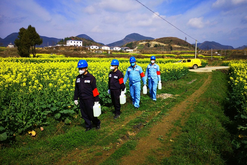 次氯酸農(nóng)作物消毒