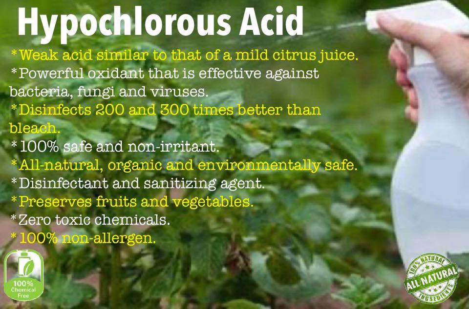 次氯酸種植業應用 次氯酸種植業應用