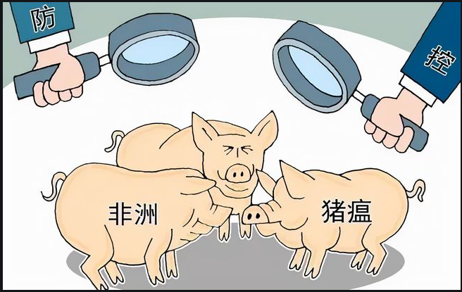 盛懷次氯酸水對(duì)豬場(chǎng)養(yǎng)殖行業(yè)效果明顯 盛懷次氯酸水對(duì)豬場(chǎng)養(yǎng)殖行業(yè)效果明顯