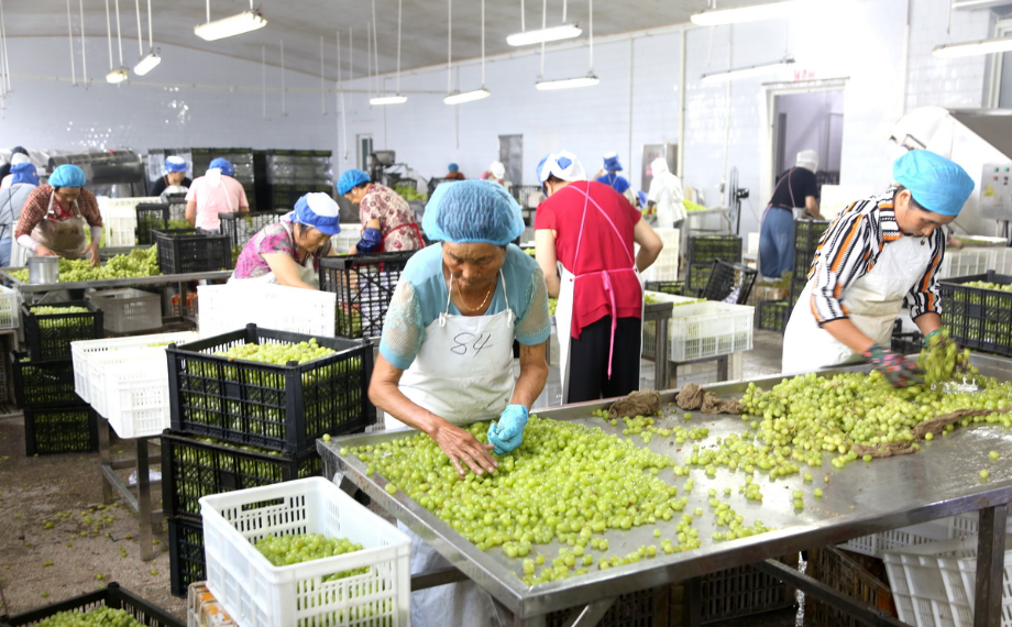 次氯酸水在食品加工行業的應用 次氯酸水在食品加工行業的應用