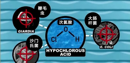 次氯酸殺菌原理 次氯酸殺菌原理