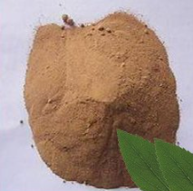 1711676297407520.png 805d97abdbb592691ce2b8f834cff03.png