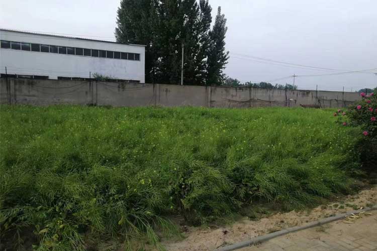 1714272867533055.jpg 211.jpg